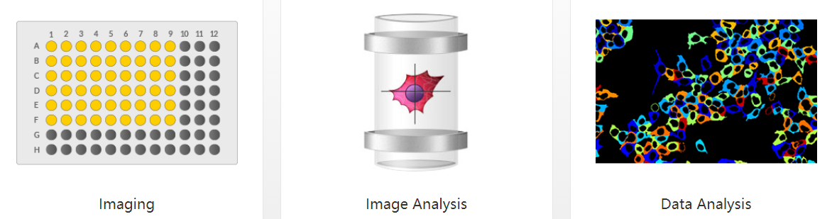 image012.png