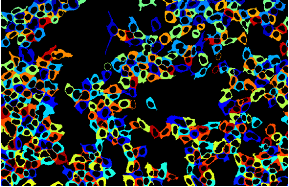 image026.png