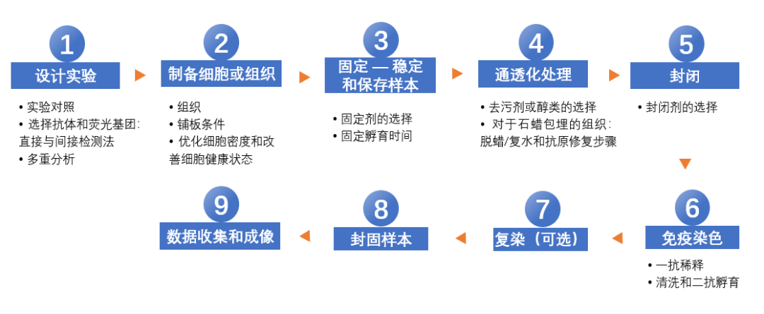 image003.png
