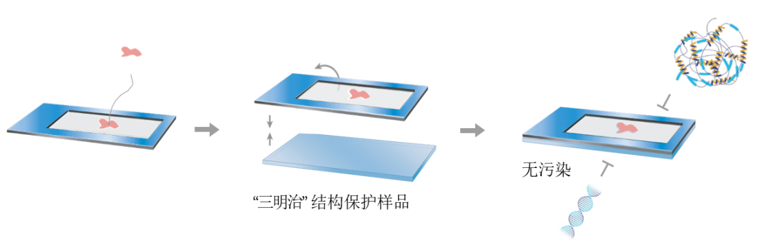 image017.png