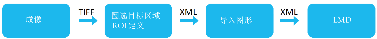 image019.png