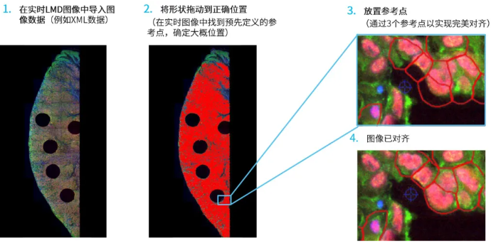 image021.png