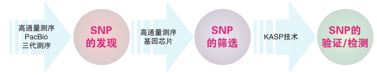image003.png