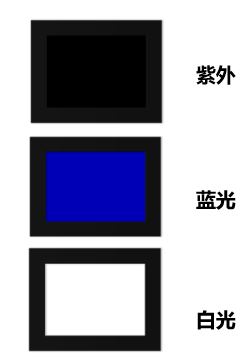 image005.gif